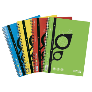 Quaderno Spiralato Rinforzato A4 160 Pagine, Microperforate e Resistenti Rinforzati ff.80